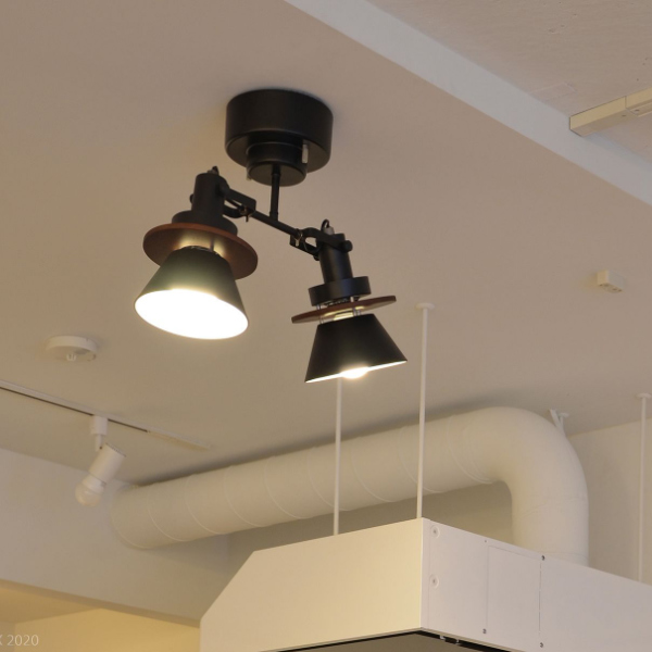 シーリングライト 2灯 CERON セロン シーリングスポット スポット