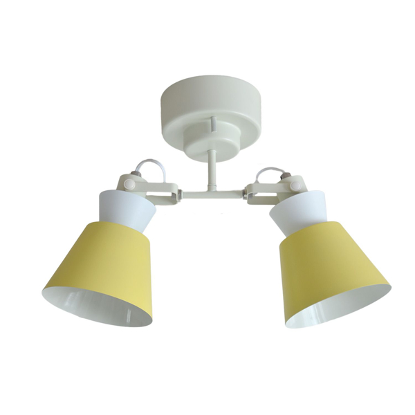 シーリングライト 2灯 スポットライト LARKS ラークス （ 照明 ライト