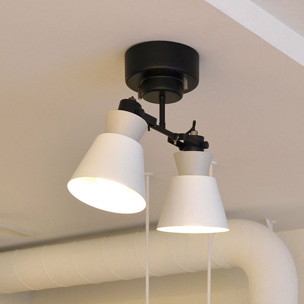 シーリングライト 2灯 スポットライト LARKS ラークス （ 照明 ライト