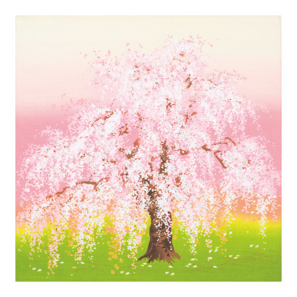 風呂敷 お弁当 50cm 綿小ふろしき 春夏秋冬 （ 風呂敷き ふろしき お