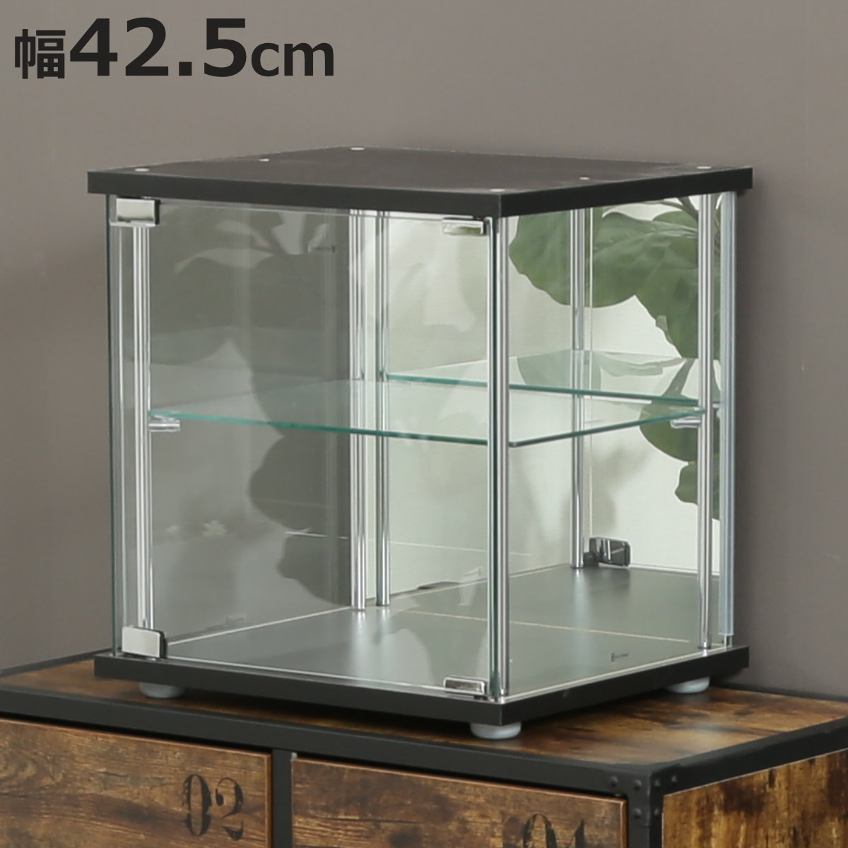 不二貿易（Fuji Boeki） コレクションボックス 幅42.5cm 2段 キューブ