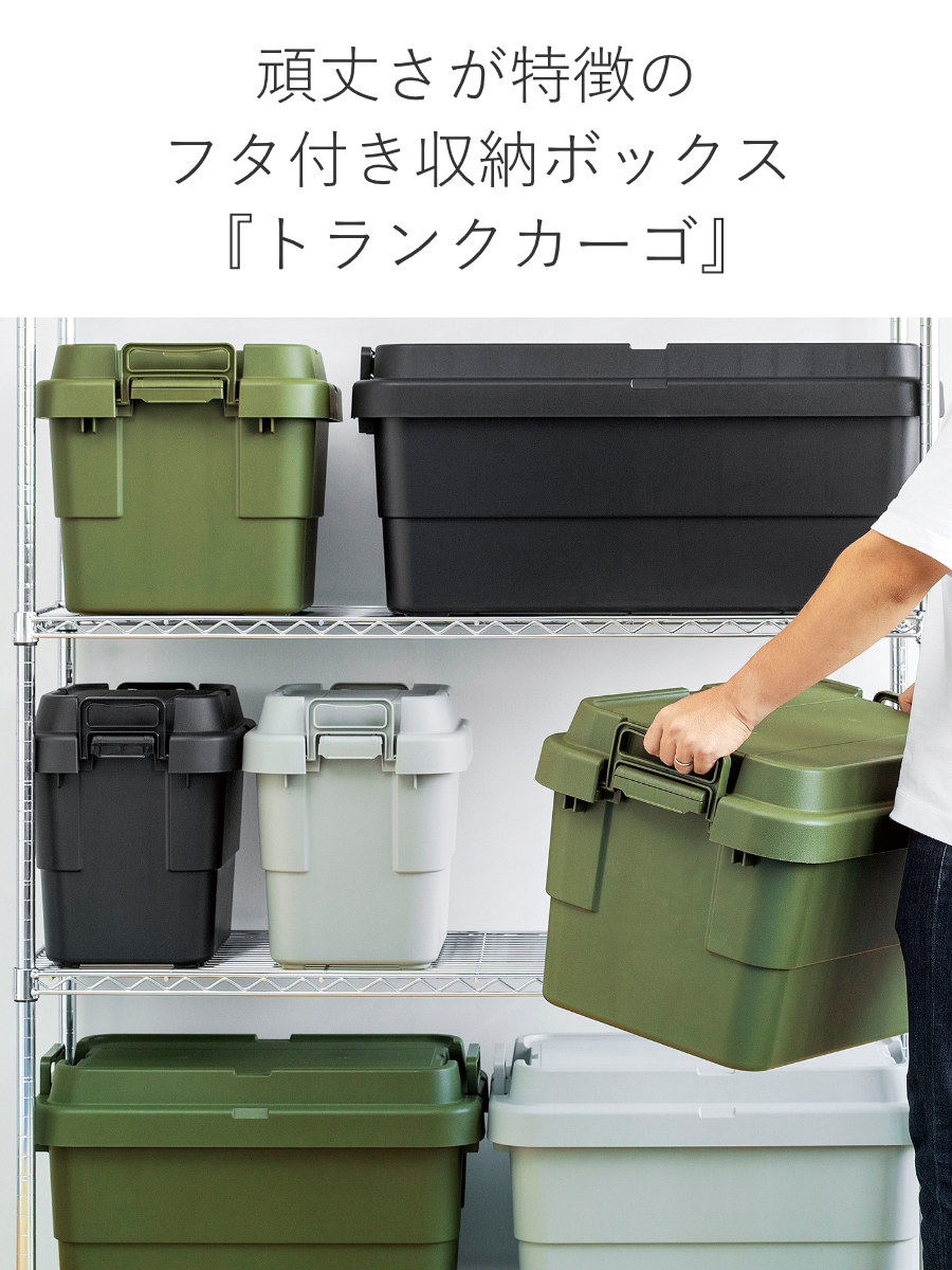 RISU（リス） 収納ボックス 幅60×奥行39×高さ35.7cm トランクカーゴ