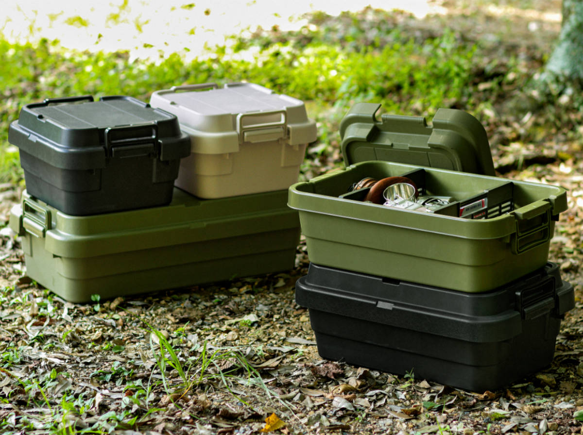 RISU（リス） 収納ボックス トランクカーゴ LOW TC-50S 30L 幅60×奥行