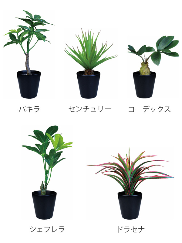 フェイクグリーン ブラックポットTS 光触媒 ...の詳細画像1