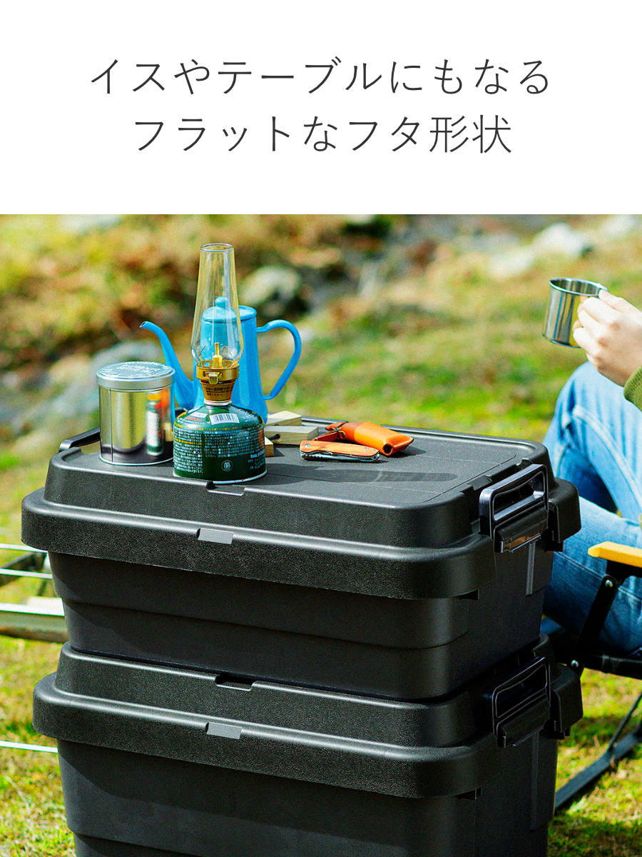 RISU（リス） 収納ボックストランクカーゴ LOW TC-70S 40L 幅78×奥行39