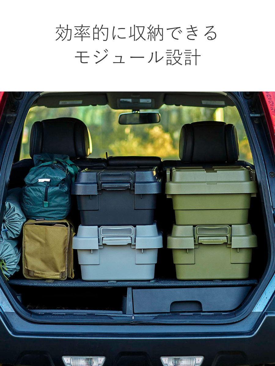 RISU（リス） 収納ボックストランクカーゴ LOW TC-70S 40L 幅78×奥行39
