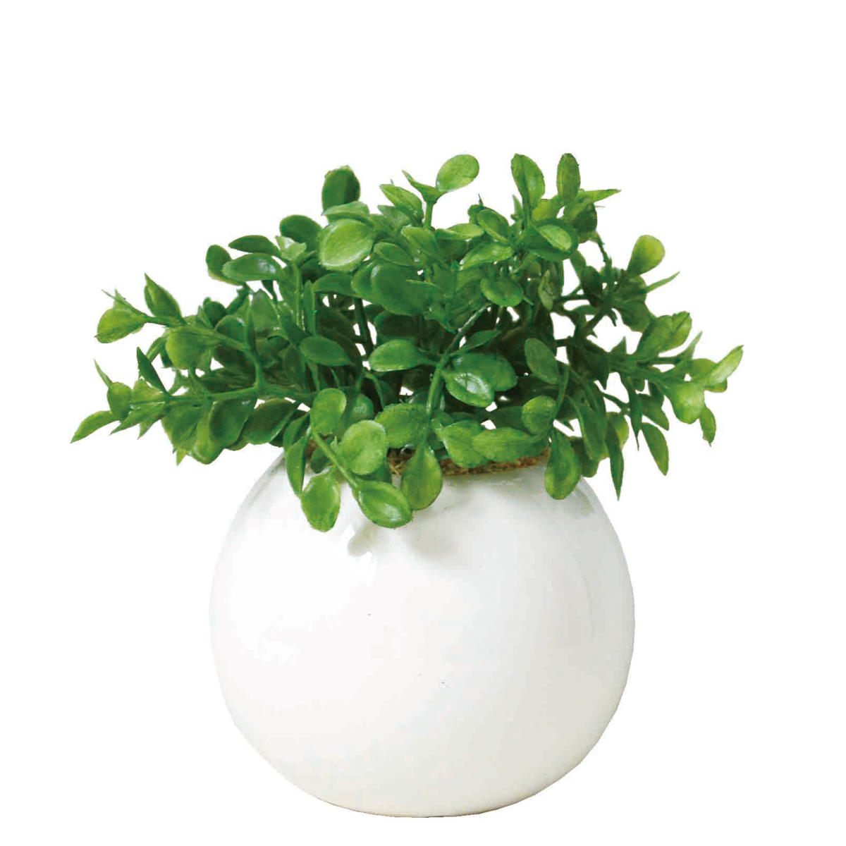 超メルカリ市⚠️まもなく終了⚠️天然木一点物【花器／壺】槐✴︎世界に一つの逸品✴︎ 楽天市場】フェイクグリーン 光触媒 消臭 抗菌 陶器 オリーブ ブーケ