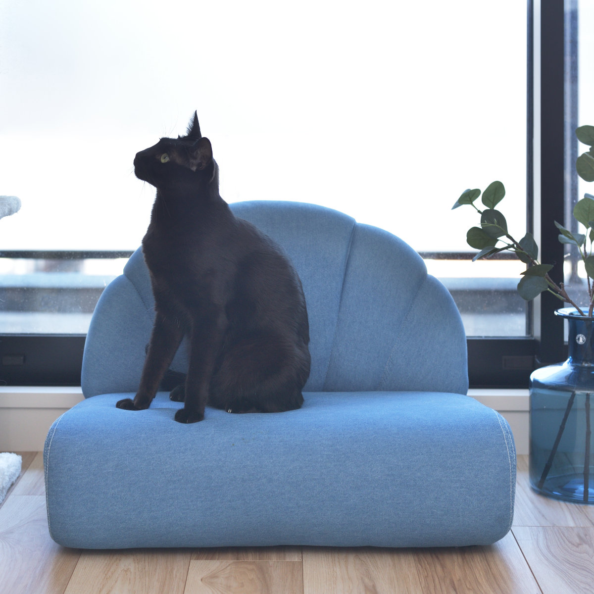 東谷 ペットソファ 幅59cm ファブリック 貝殻 （ ペットベッド 座椅子