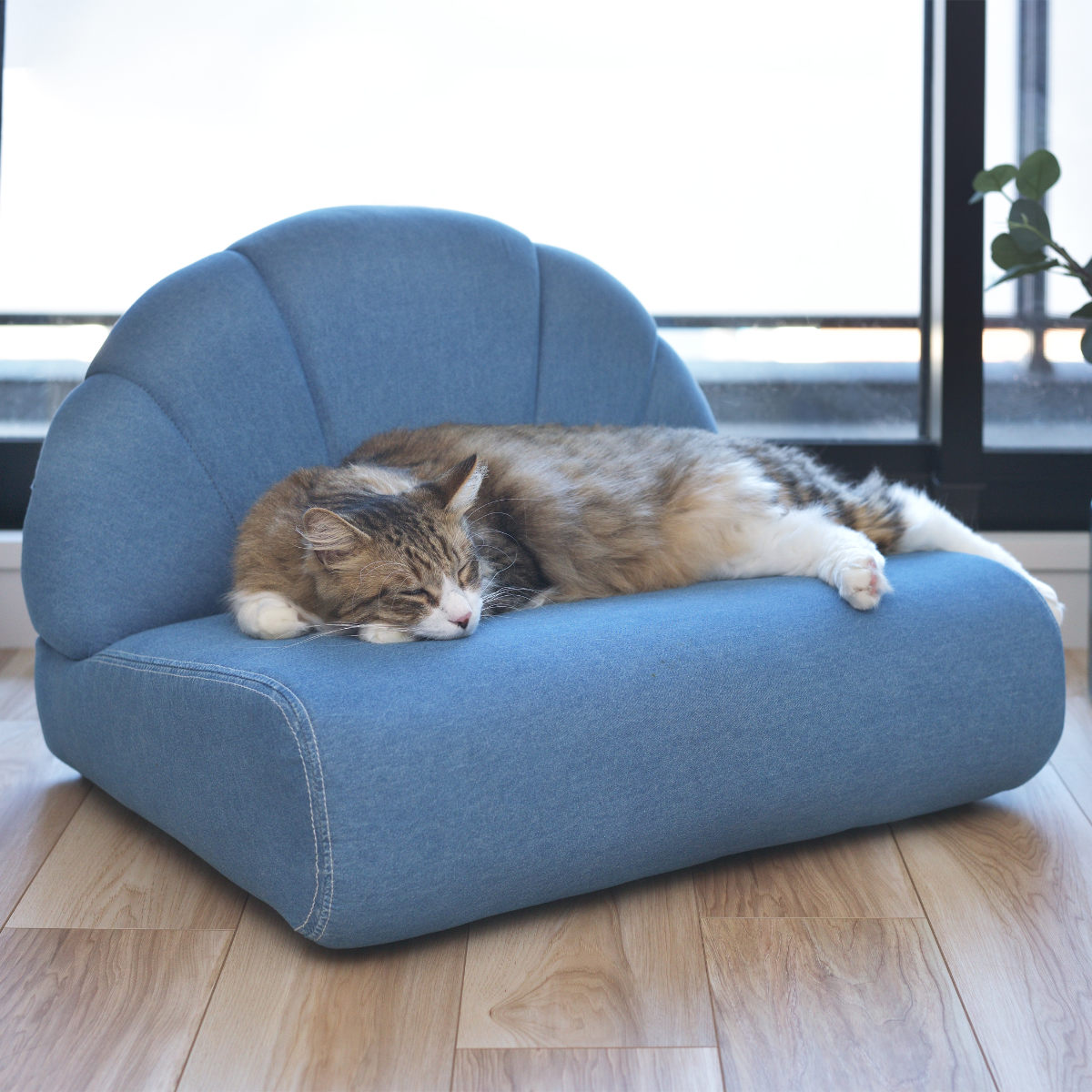 ペットソファ 幅59cm ファブリック 貝殻 （ ペットベッド 座椅子 ローソファー キッズチェアー 1人用 椅子 イス ペット 犬 猫 ）