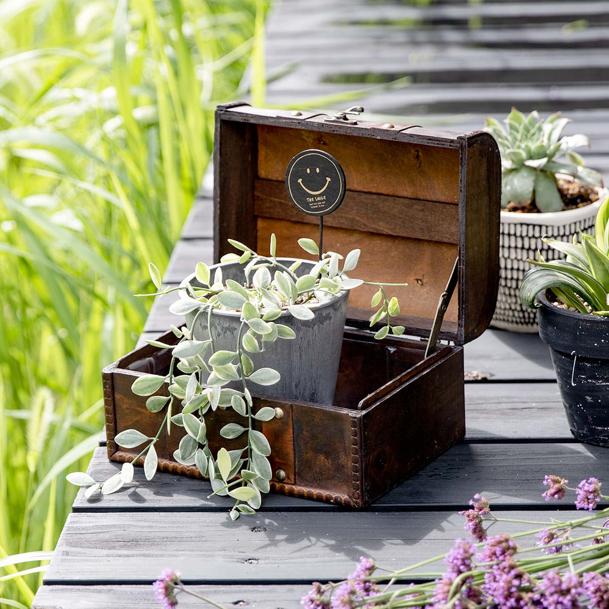 プランター トレジャーボックスポット L ブラウン （ 植木鉢 プラント