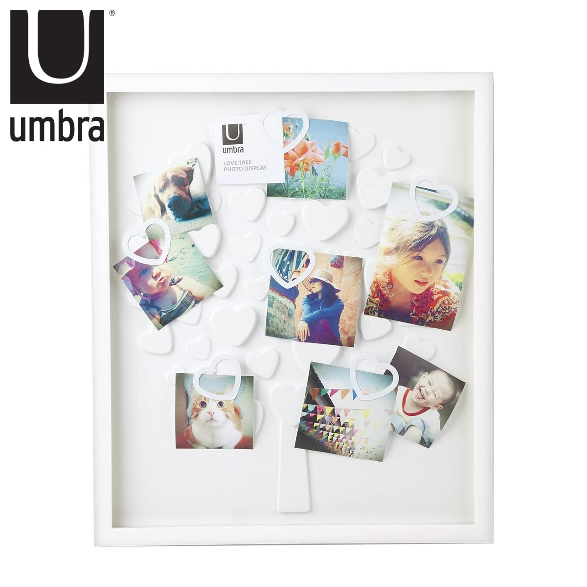 umbra �t�H�g�t���[�� ���u�c���[�t�H�g�f�B�X�v���C �Ǌ|�� �i KG�� �|�X�g�J�[�h �A���u�� �t�H�g�X�^���h �ʐ^���� ��^ �ʐ^���� ������� �ʐ^�t���[�� �j