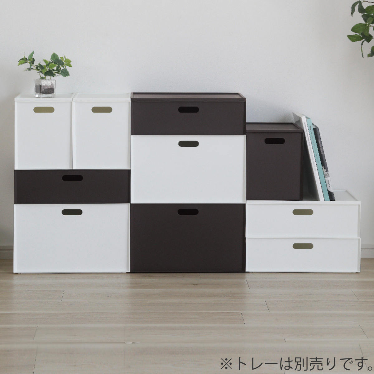 JEJアステージ 収納ボックス カラーボックス用 カロキューブ 縦型