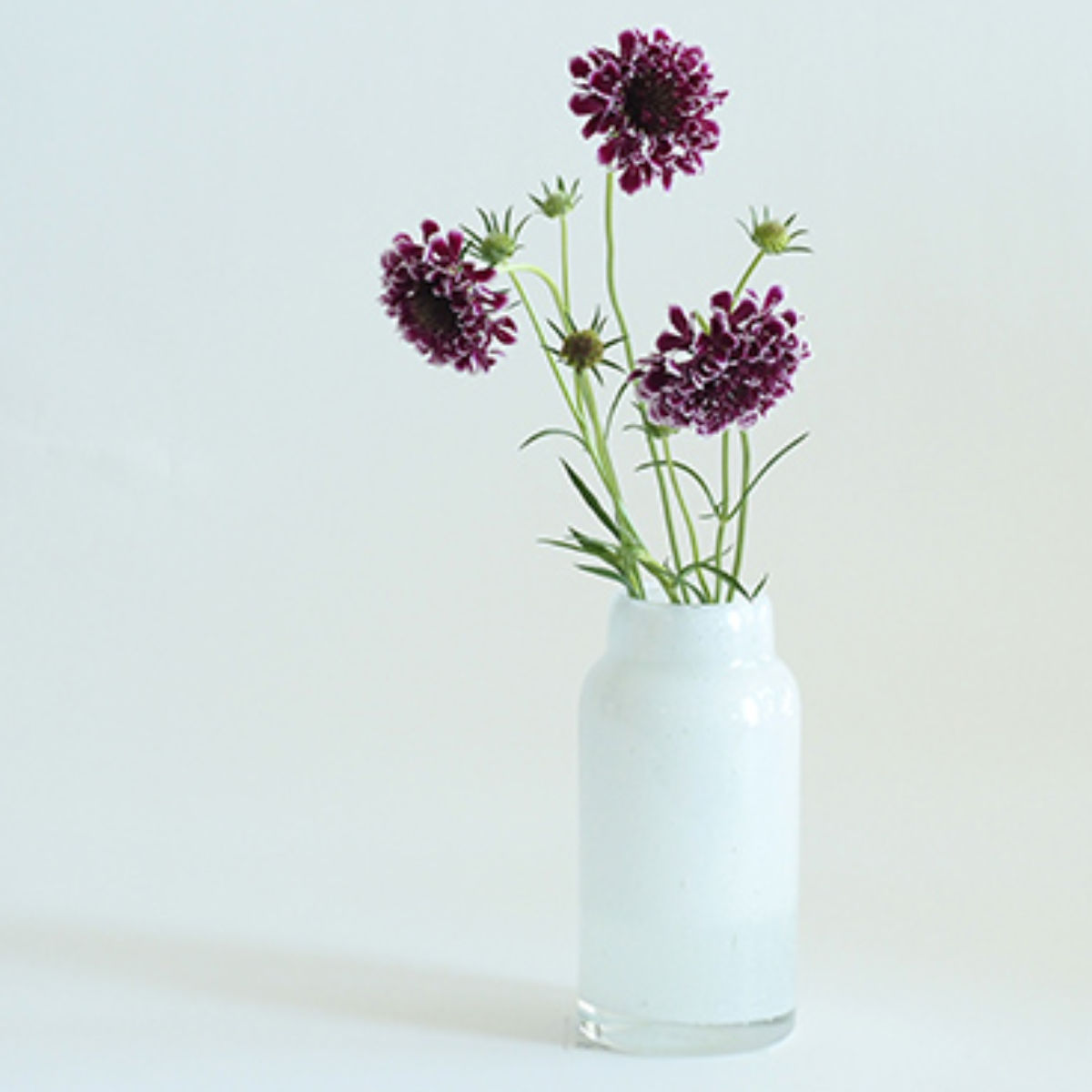 花瓶 DGボトルベース 直径7.5×高さ15.5cm ホワイト ガラス