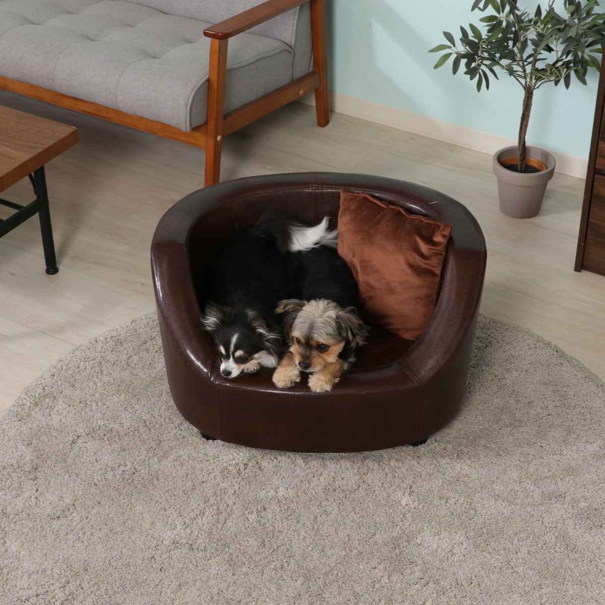 ペットソファ 幅66.5cm レザー調 クッション カバー （ ペットベッド 犬 猫 ペット家具 ペット用 ベッド ソファー ）の画像