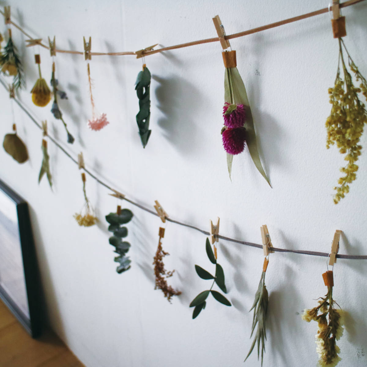ドライフラワー Garland Botanic...の詳細画像4