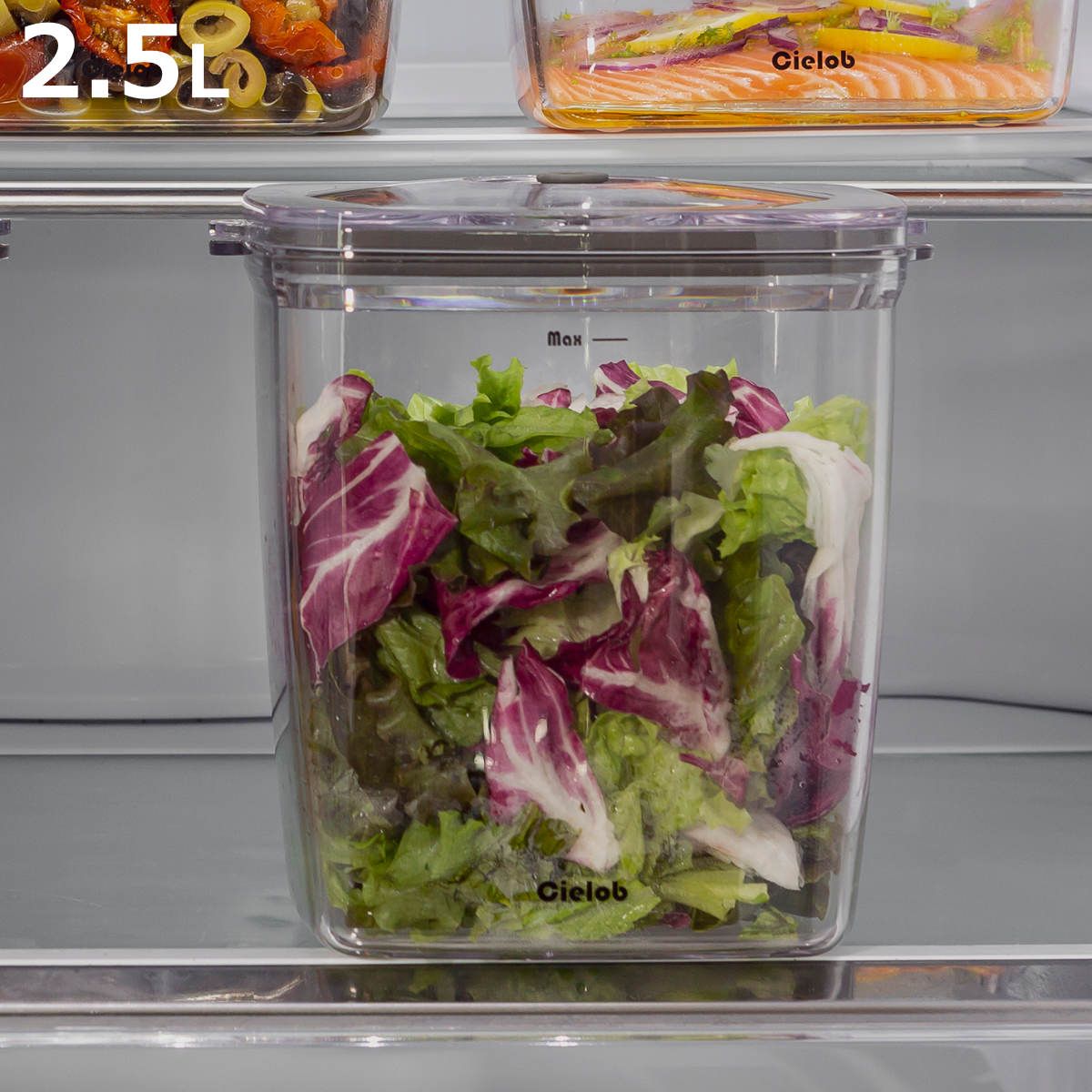 �ۑ��e�� 2.5L Cielob �^��L���j�X�^�[ �X�N�G�A �i �Z�[���u �L���j�X�^�[ �d�� �^�� ���e�� �ۑ� �e�� ���� 2500ml �j