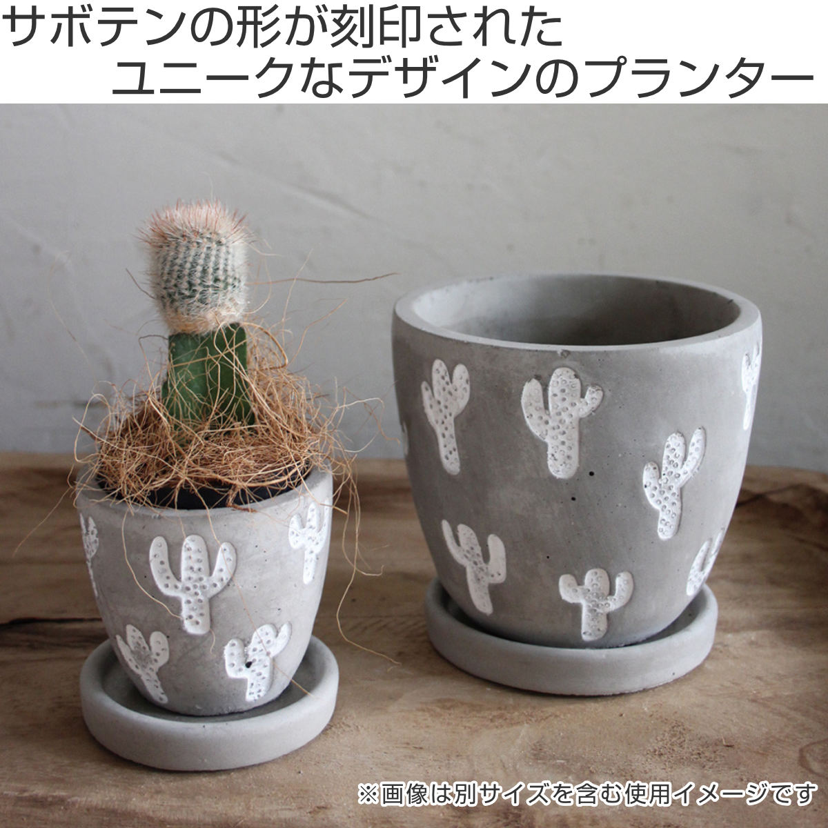 サボテン　置物　ポット　植木鉢 SPICE of Life（スパイス オブ ライフ） 植木鉢 レリーフ プランター