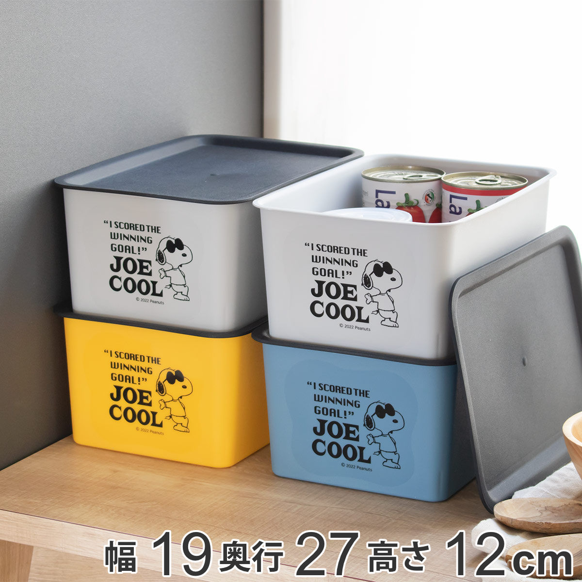 ヌンチャク　樹脂製（収納ケース付き）台湾製 錦化成 収納ボックス S 幅19×奥行27×高さ12cm スヌーピー コレクトBOX