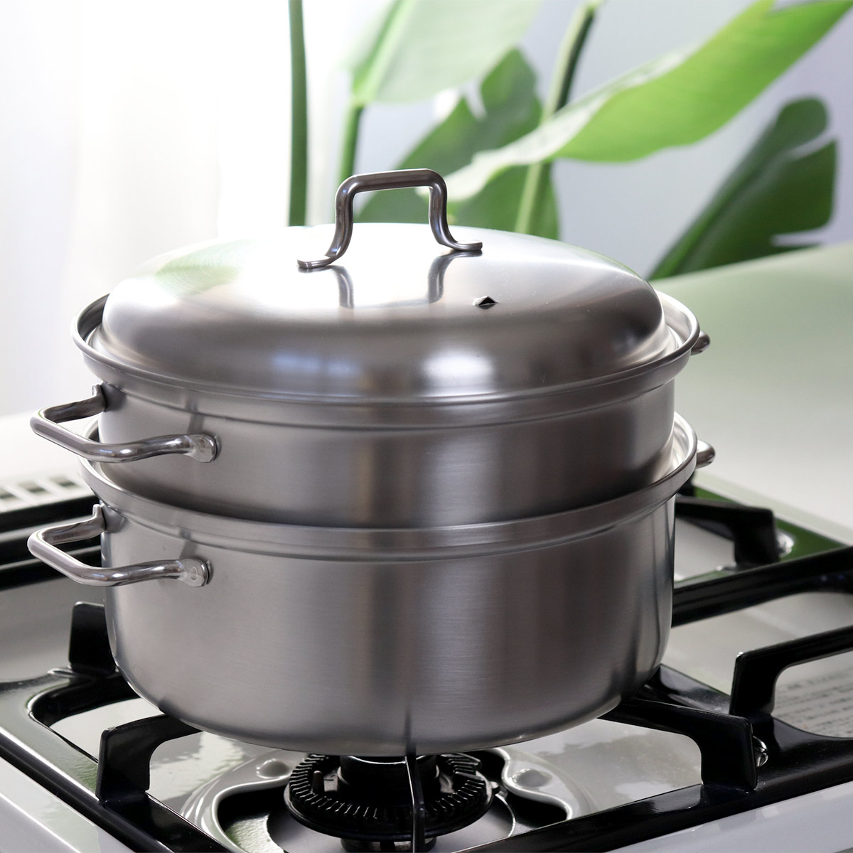 工房アイザワ 特典付き ブラックピーマン 200V スチーマー 20cm