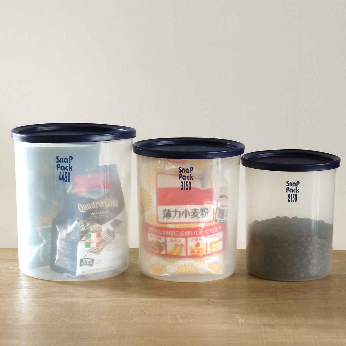 TAKEYA（タケヤ） 保存容器 4.5L スナップパックブルー4450 （ 密閉