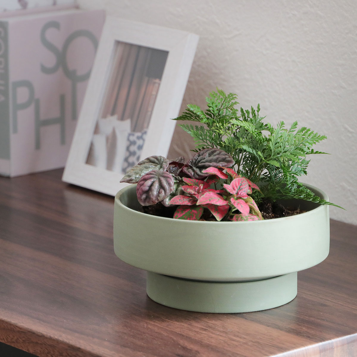 magnet 植木鉢 Stef セラミック （ プランター プラントポット 植物用