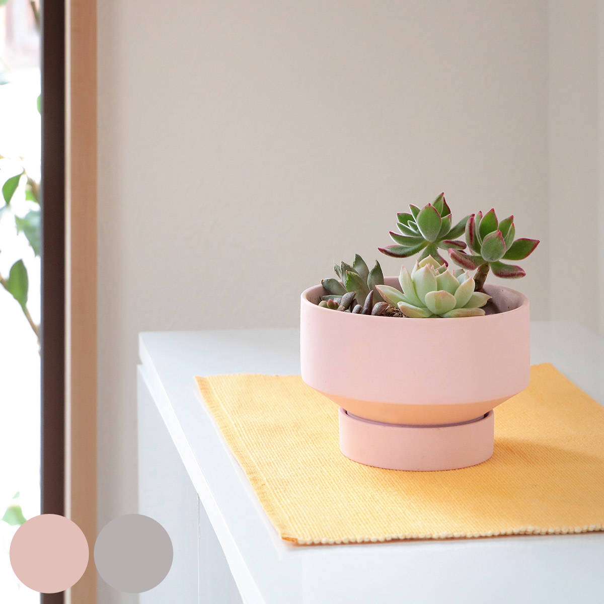 植木鉢 Pim セラミック （ プランター プラントポット 植物用ポット 鉢 花器 鉢カバー ポット 丸 受皿 ）