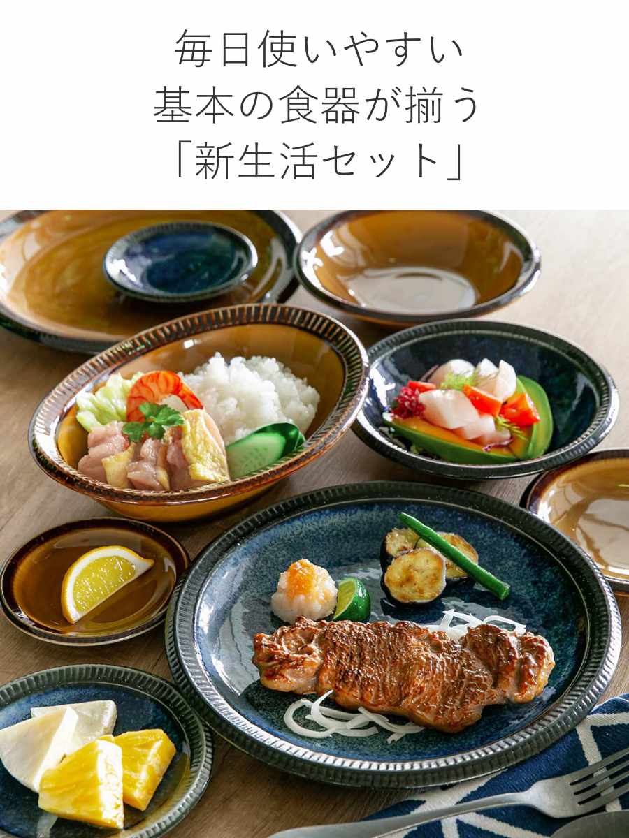 aito製作所 食器 10点セット 2色 料理を引き立てる食器セット 新生活