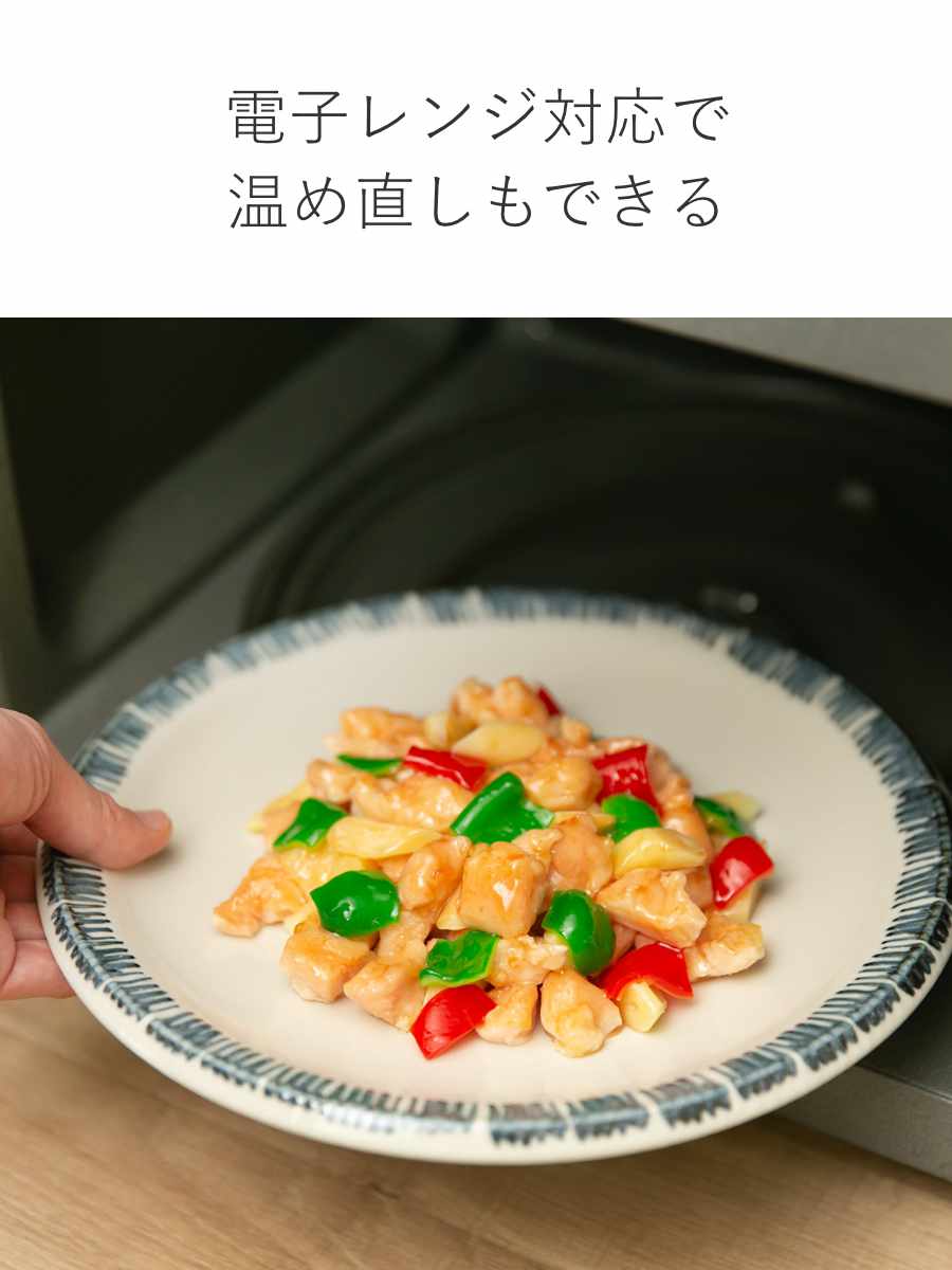 aito製作所 食器 10点セット 2色 料理を引き立てる食器セット 新生活