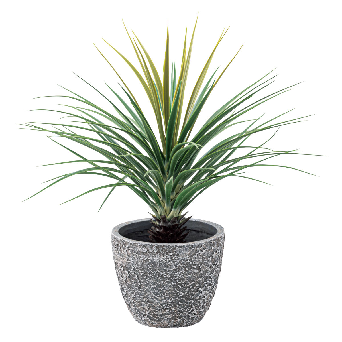 東谷 プランター グリーンベース 直径25×高さ20cm （ 植木鉢 プラント