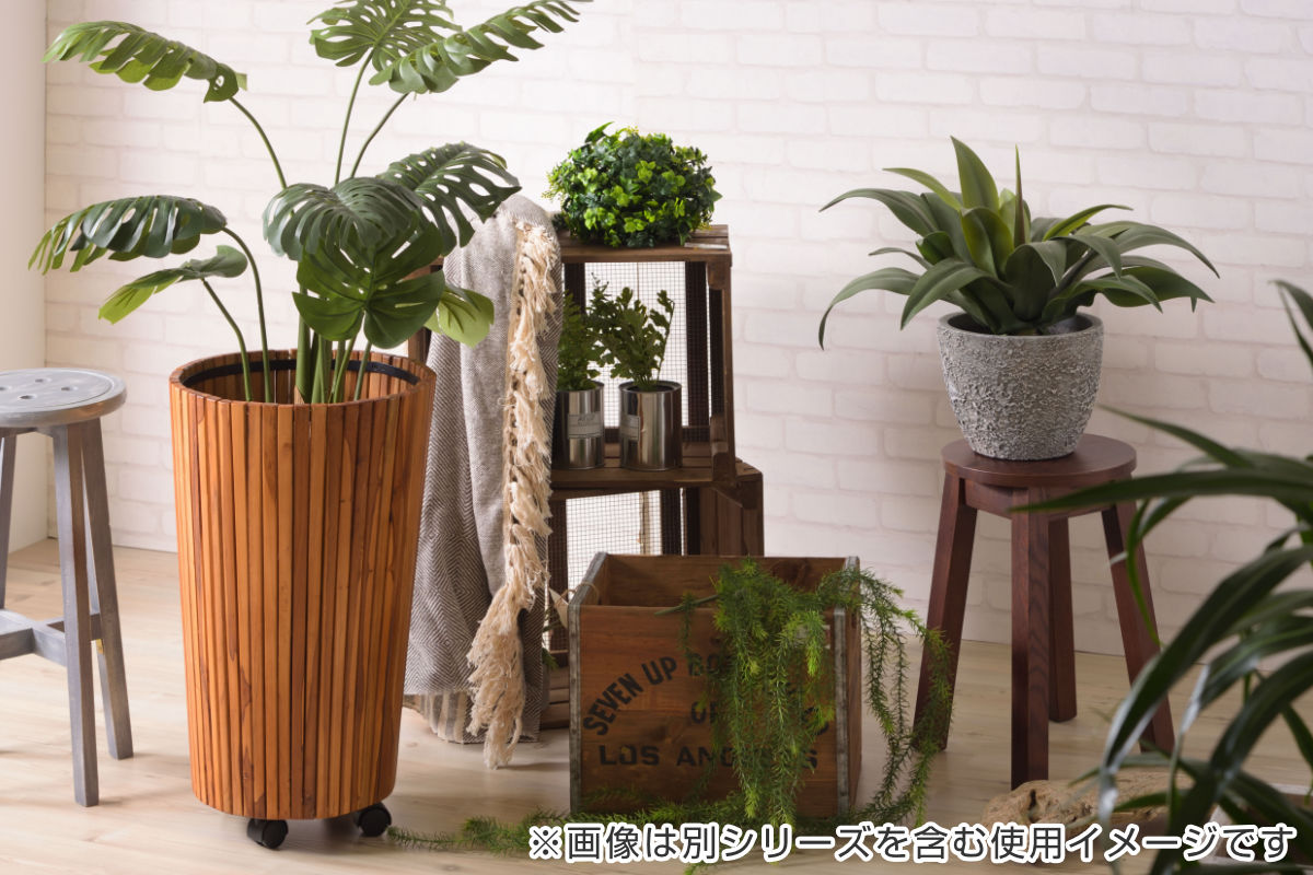 東谷 プランター グリーンベース 直径25×高さ20cm （ 植木鉢 プラント