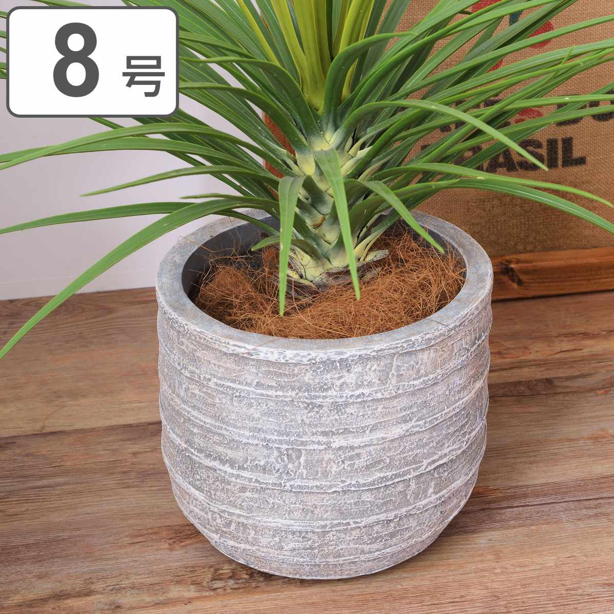 鉢カバー 8号」の人気商品一覧 | 安い商品を通販サイトから探す - 価格.com