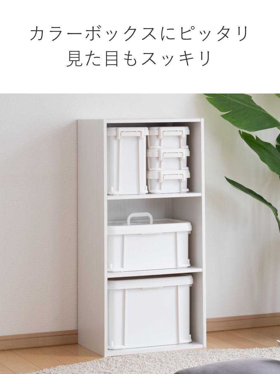 SANKA 収納ボックス ナチュラトラックス 幅24.5×奥行17.2×高さ9cm 24S