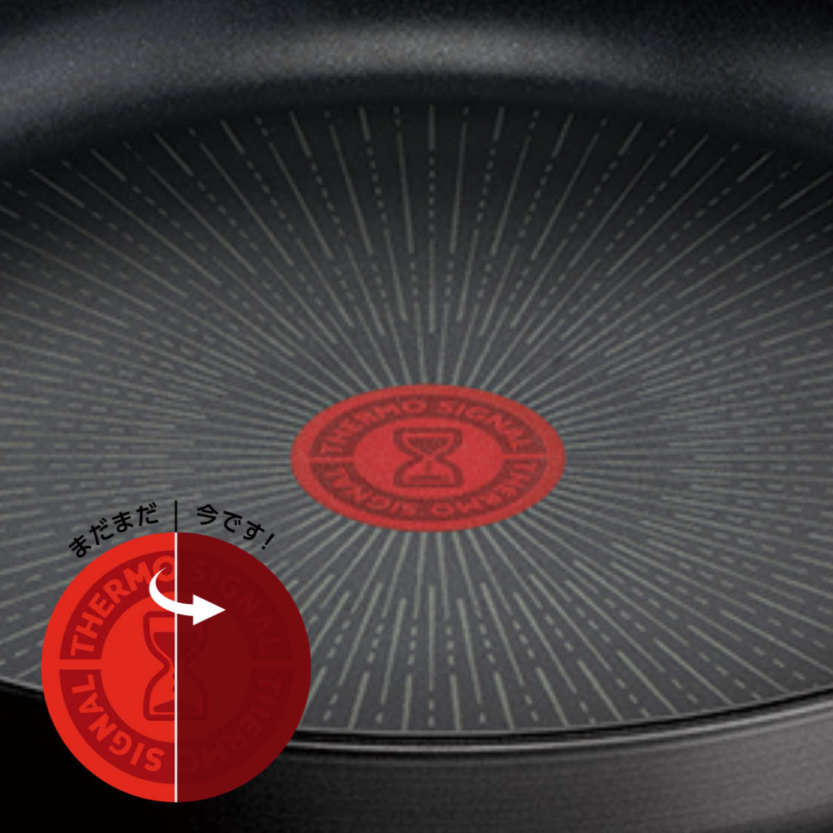 T-fal（ティファール） 特価 インジニオ・ネオ 6点セット+取っ手1本 IH