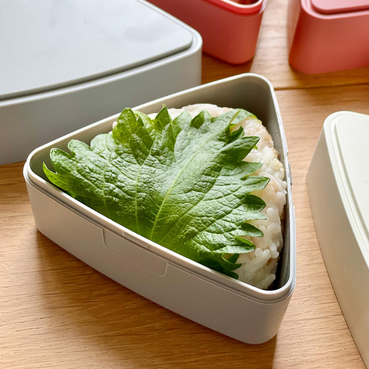 お弁当グッズのカラフルボックス - おにぎりケース｜Yahoo!ショッピング