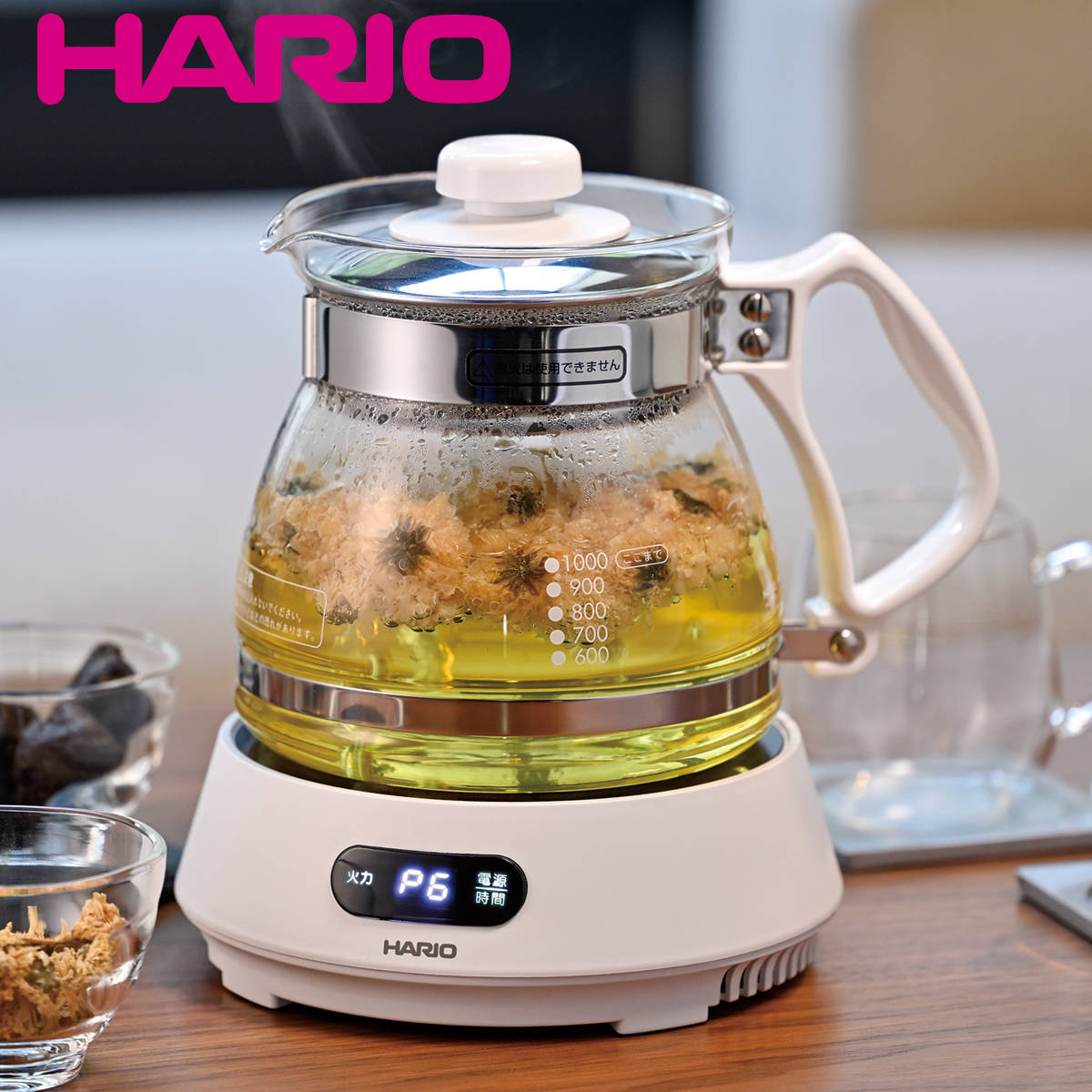 煎じ器 マイコン煎じ器 N 耐熱ガラス （ HARIO ハリオ 漢方 自動煎じ器 薬膳ポット マルチポット ケトル ）