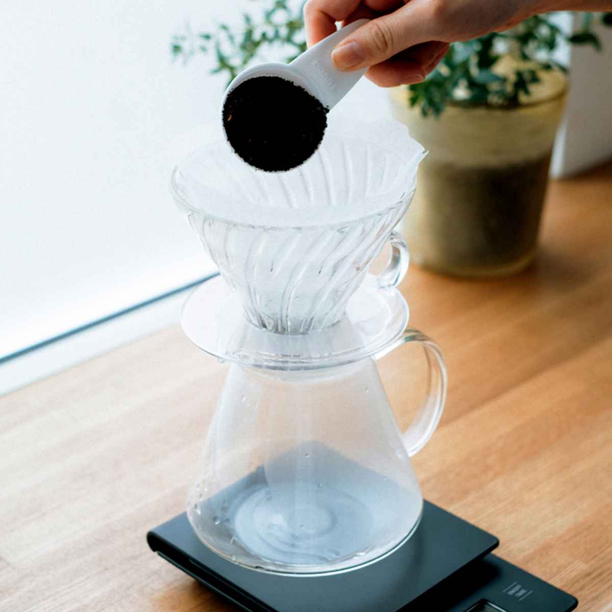 HARIO（ハリオ） ドリッパー コーヒーサーバー セット V60 1〜4杯用