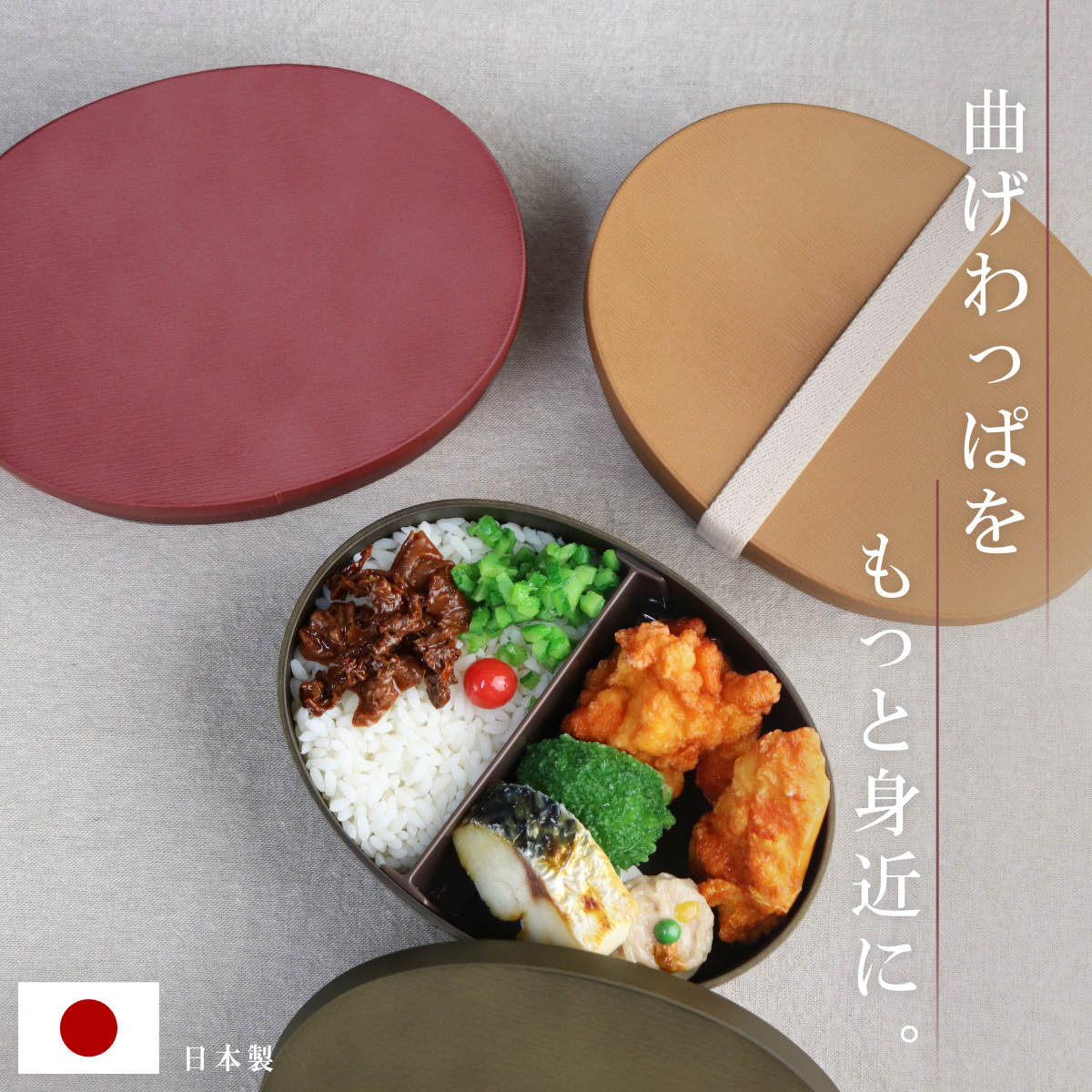 HAKOYA お弁当箱 曲げわっぱ一段弁当 大 1段 800ml （ 弁当箱 わっぱ