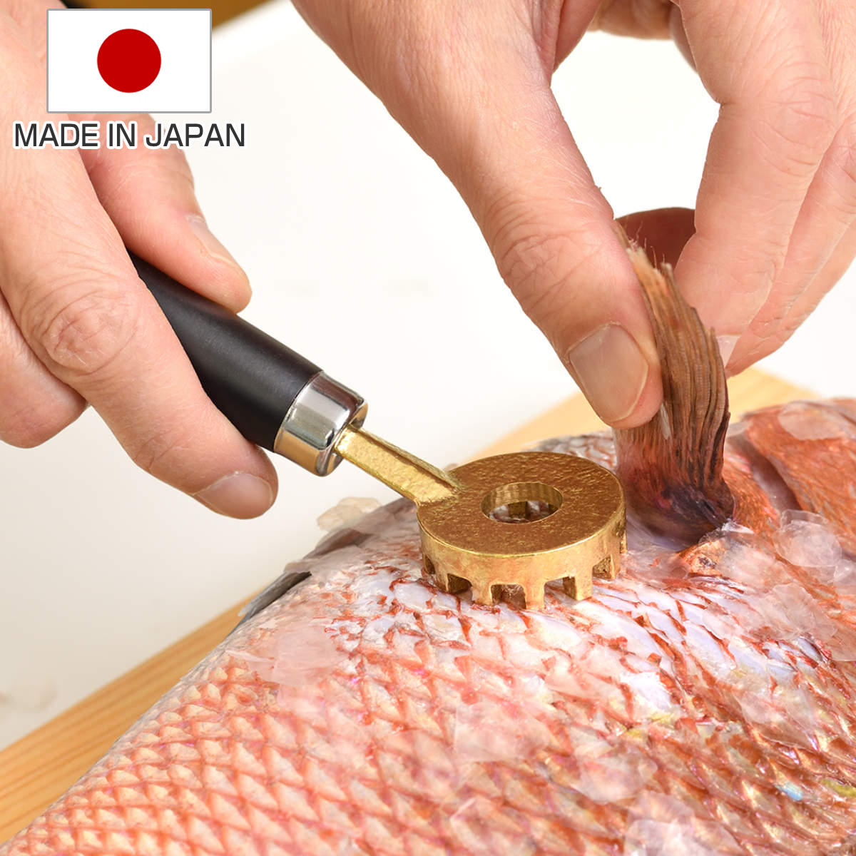 ウロコ取り 大人の焼魚 鱗とり 日本製 （ 鱗取り ウロコ 取り 魚 さばく おろす 台所用品 キッチン用品 燕三条 ）