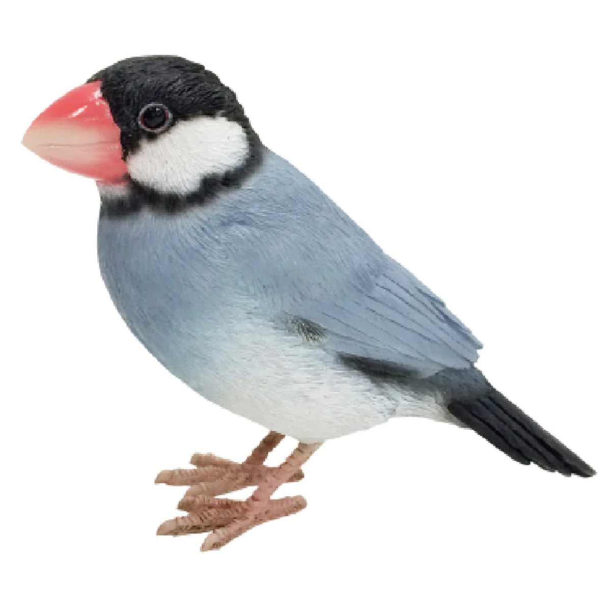 magnet オブジェ BIRDIE BILL 文鳥 マグネット付き （ 置き物 鳥 動物
