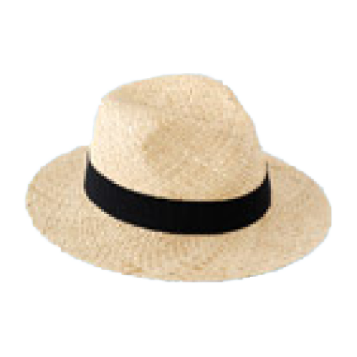 帽子 WILLYS Soft Hat Adult （ 麦わら帽子 大人 子供 レディース メンズ キッズ ）｜colorfulbox｜02