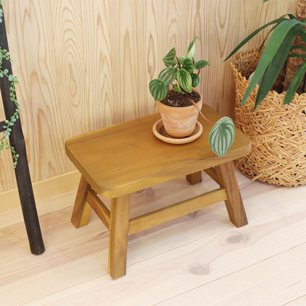 スツール 座面高25.5cm 天然木 （ ウッドスツール 子ども 椅子 キッズ