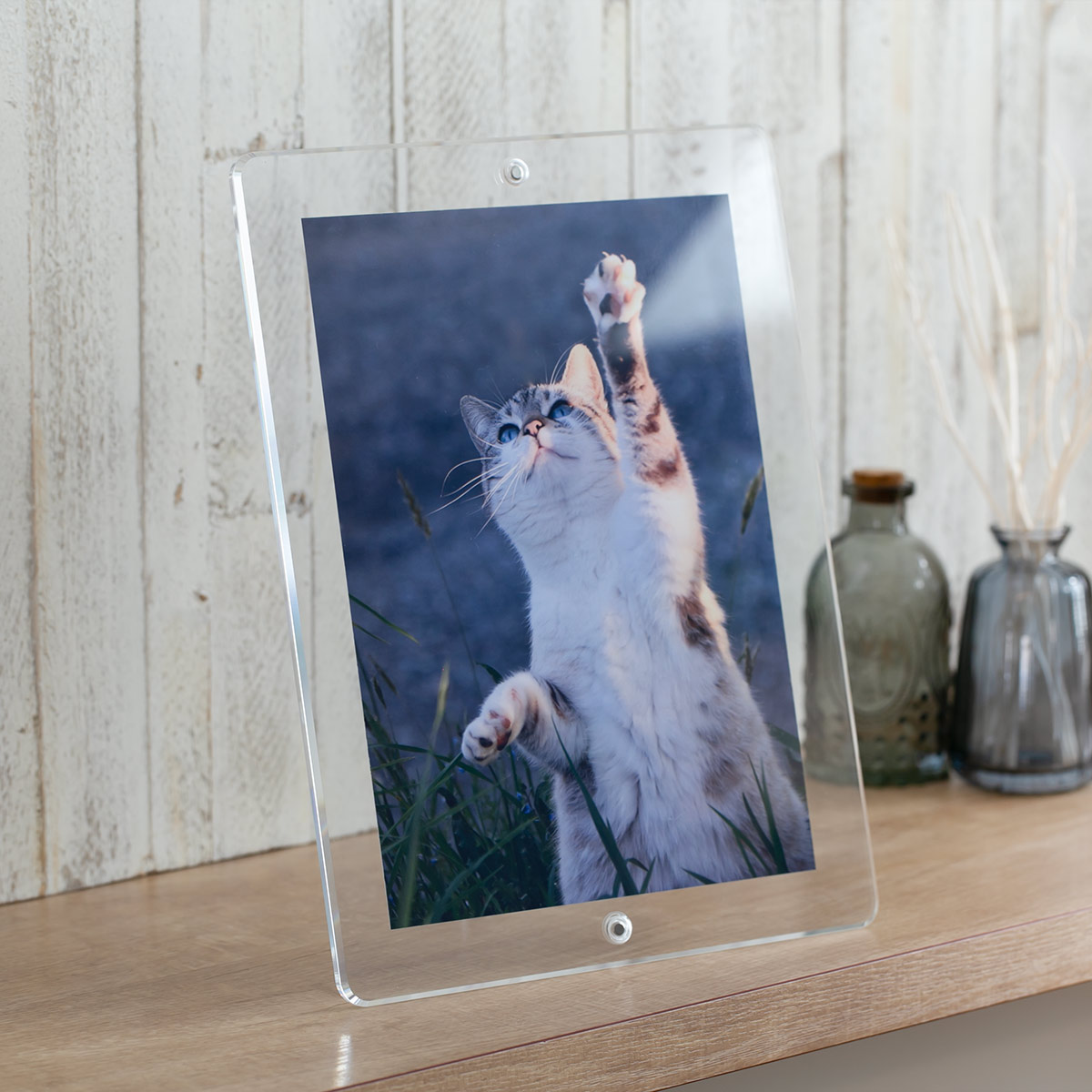 Trytec マグパチ フォトフレーム スタンダード B5判サイズ （ フォト