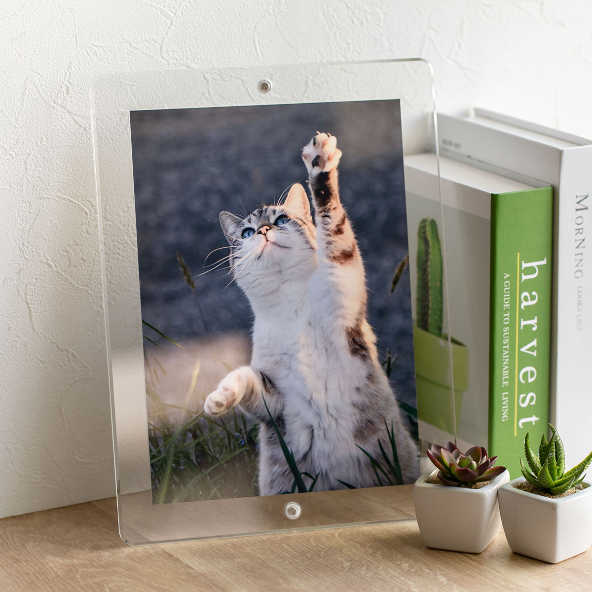 Trytec マグパチ フォトフレーム スタンダード B5判サイズ （ フォト