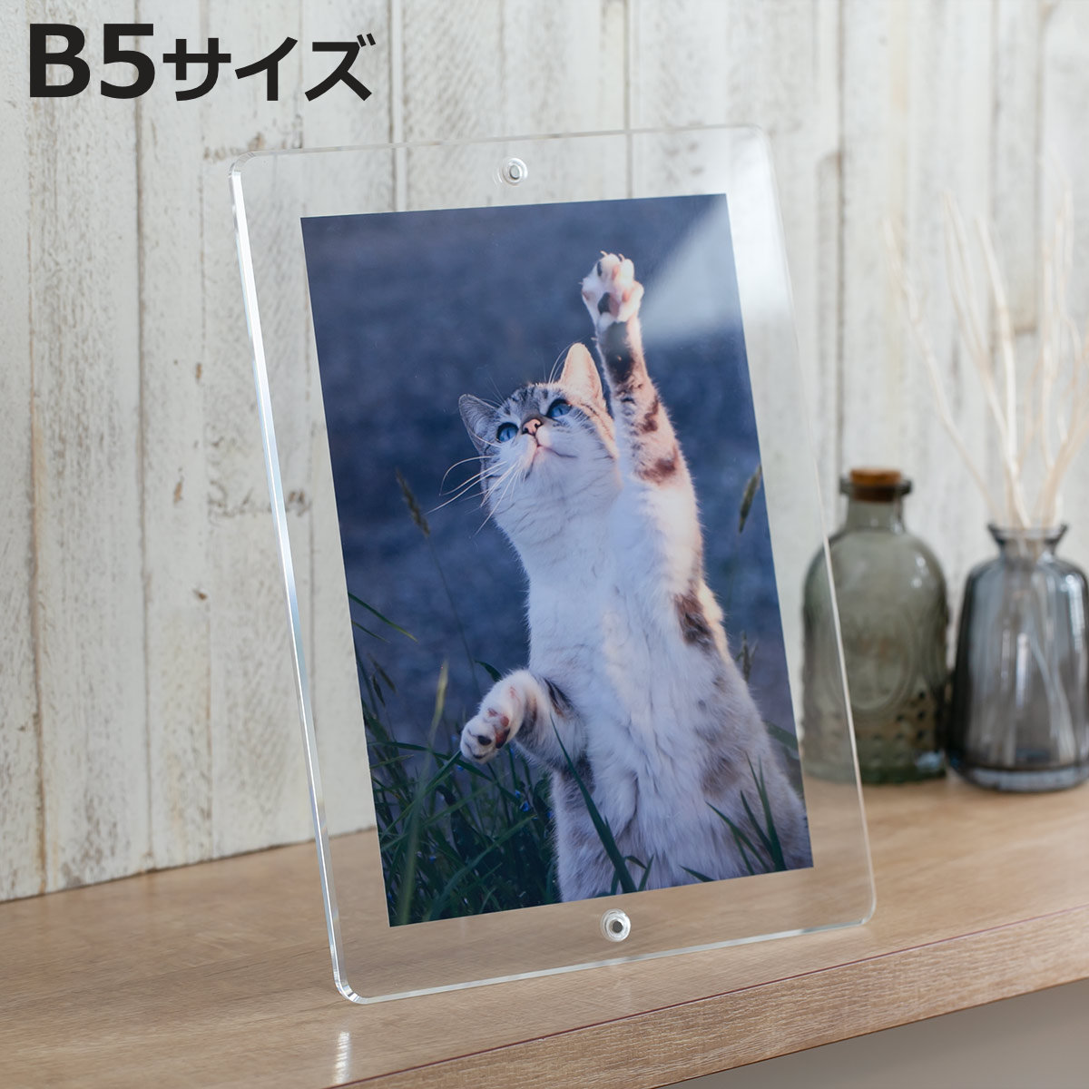 Trytec マグパチ フォトフレーム スタンダード B5判サイズ （ フォト