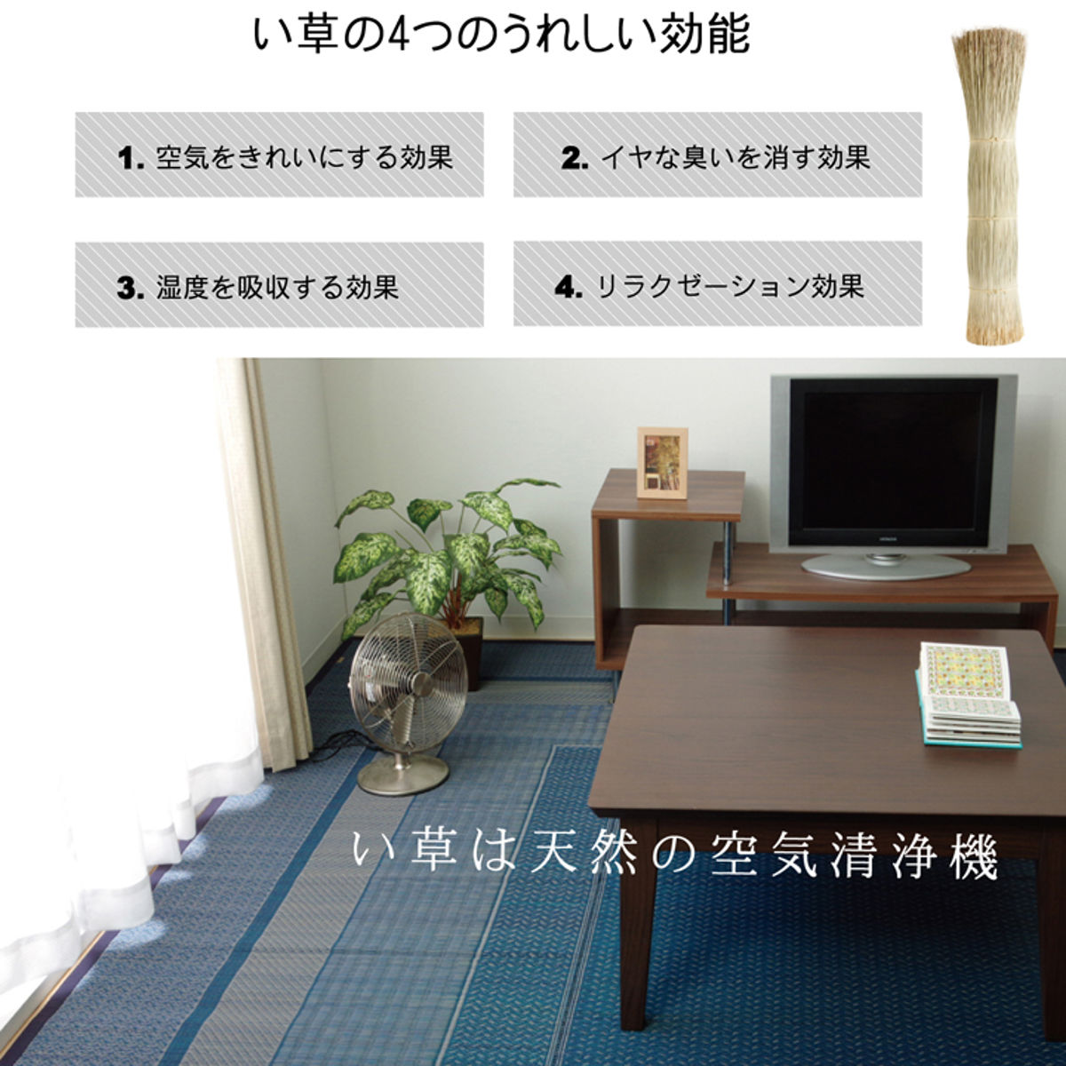 ござ 純国産 い草花ござカーペット ランクス総色 江戸間2畳 約174×174cm （ 敷物 ラグ マット い草マット い草カーペット 絨毯 花ござ 茣蓙 ）_12