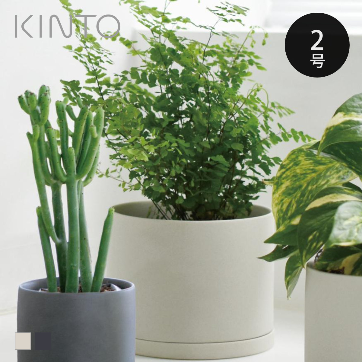 植木鉢 4号」の人気商品一覧 | 安い商品を通販サイトから探す - 価格.com