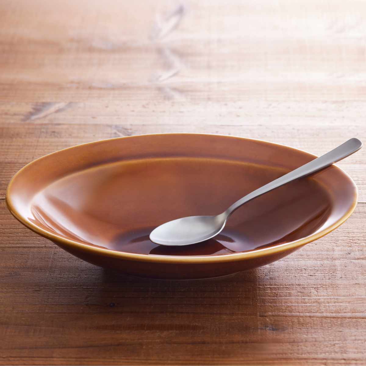 カレー皿 スプーンセット 25cm 逸品窯 陶磁器 （ 食洗機対応 電子