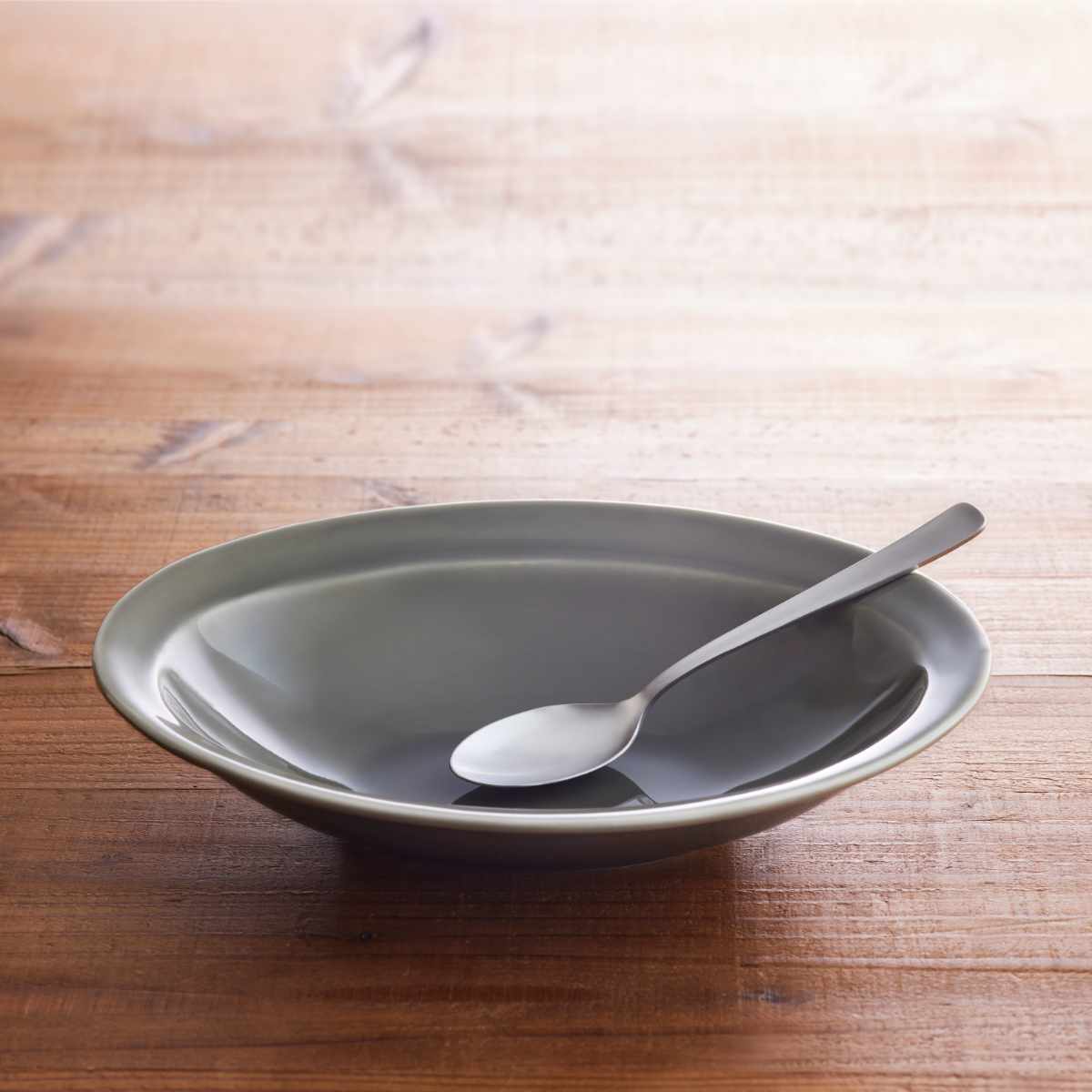 カレー皿 スプーンセット 25cm 逸品窯 陶磁器 （ 食洗機対応 電子