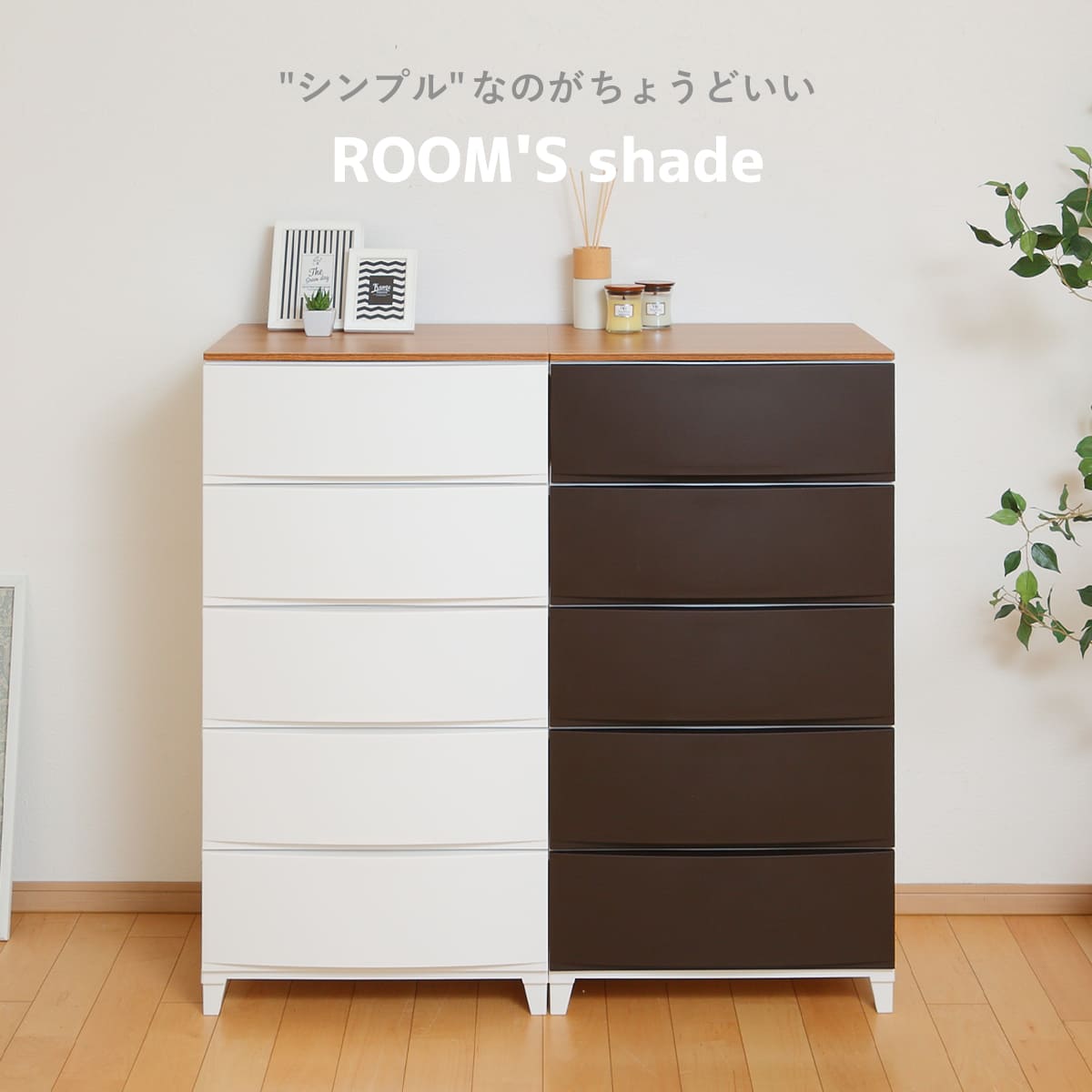 SANKA（サンカ） チェスト ルームスシェード木天板 5段 幅54×奥行42×高