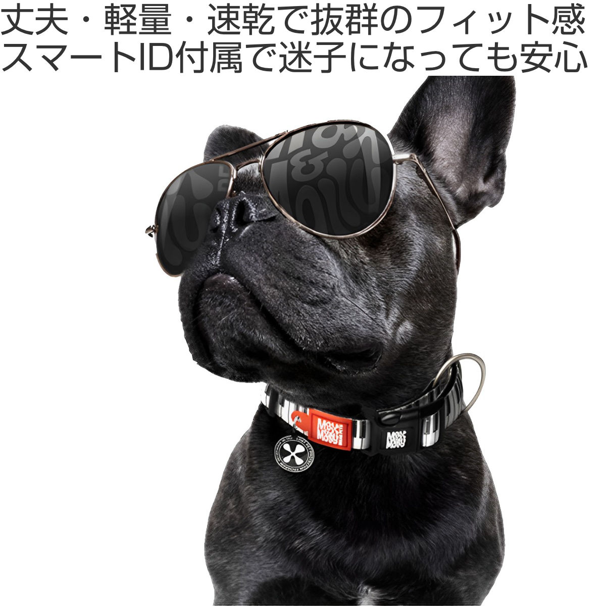首輪 大型犬 L マックス＆モーリー 迷子札 犬 （ 犬用首輪 ペット用